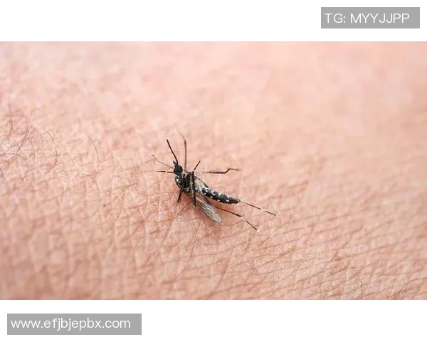 你不知道的伤病名单：十大冷知识大揭秘