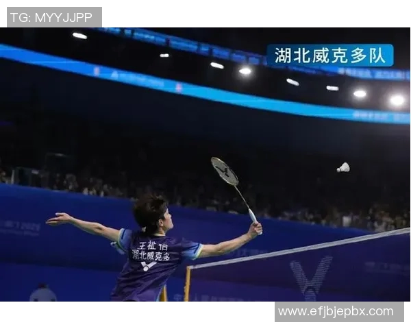 羽毛球赛事精彩回放及技术点评