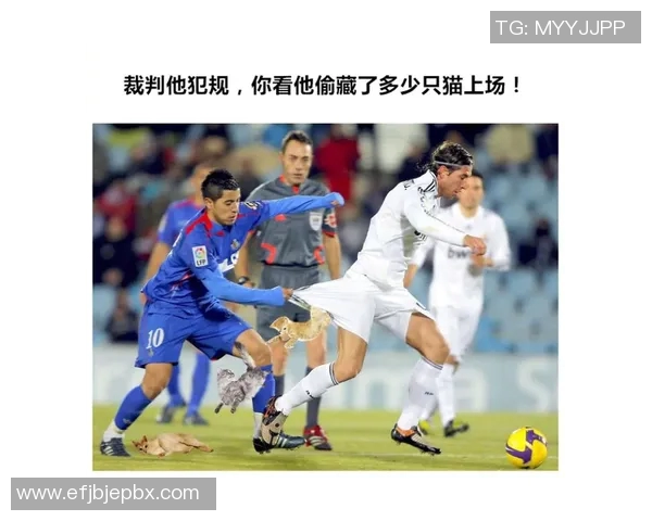 体育表情包合集