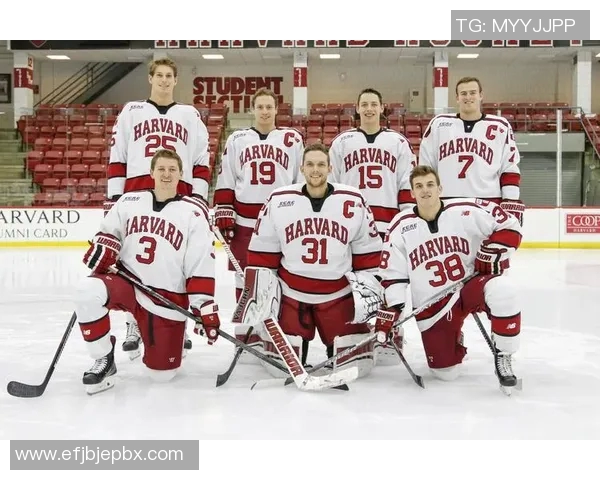 体育文化差异解析：中美对比