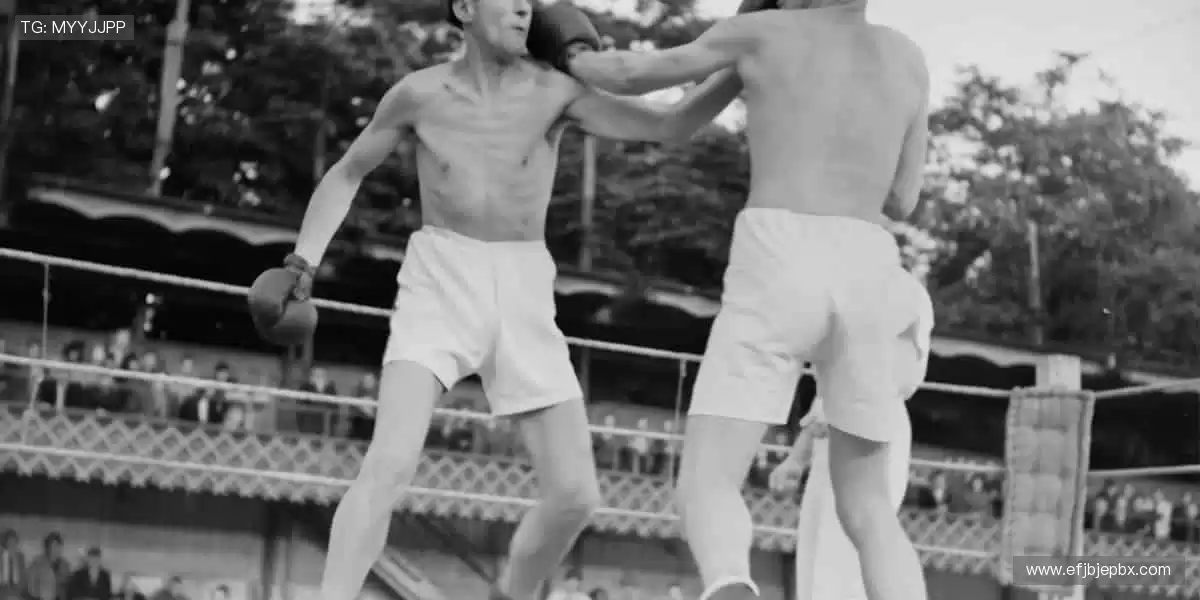 🎉 弹幕、解说、回放,直播乐趣不止于观看!